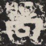 尚