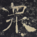众