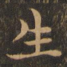 生