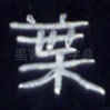 叶