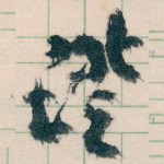 證