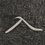入