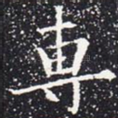 专