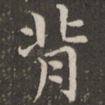 背