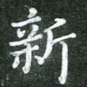 新