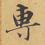 专