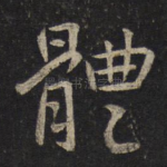 体