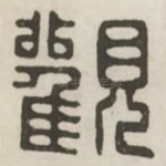 观