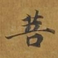 菩