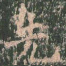 先