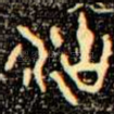 沽