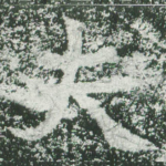 夫