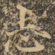 志