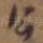 公