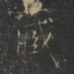 藏
