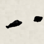 八