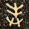 奉