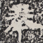 奉