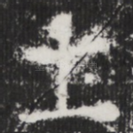 土