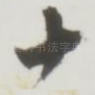 十