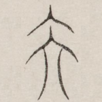 昊