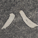八