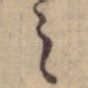 之