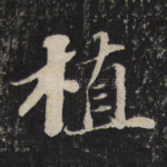 植