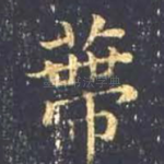 蒂