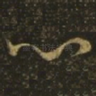 心