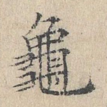 龟
