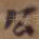 公