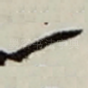 一