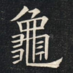 龟