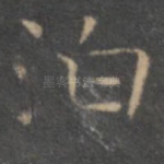 泊