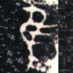 隹