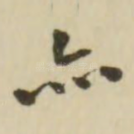 亦