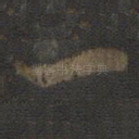 一