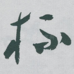 杯