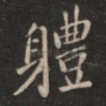 体