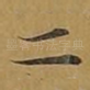 二