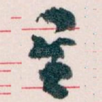 星