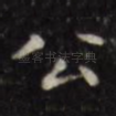 公