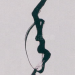 年