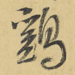 鸡