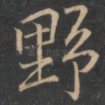 野
