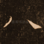 八