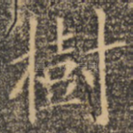 树