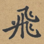 飞