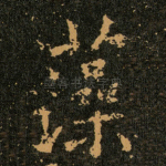 藻